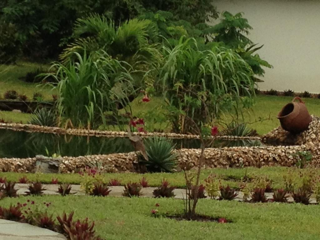 Marula Park Villa Diani Beach Ruang foto