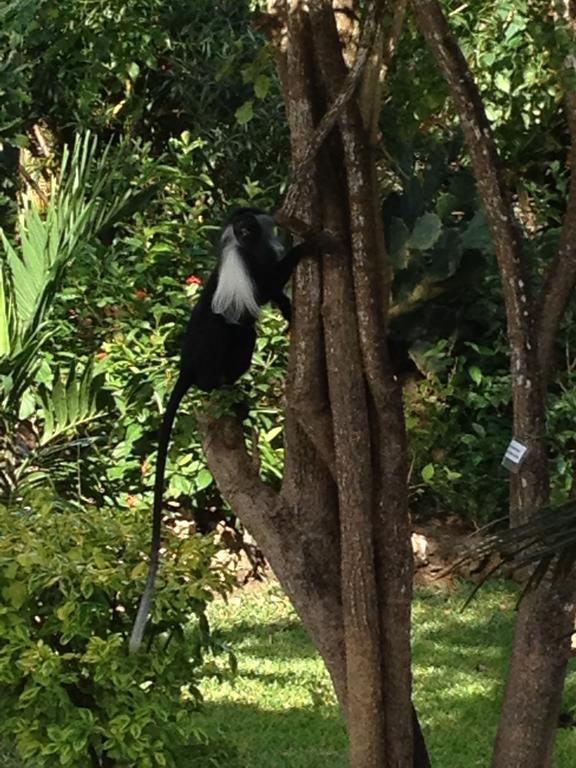 Marula Park Villa Diani Beach Ruang foto